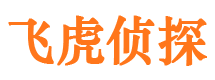 乐业市调查公司